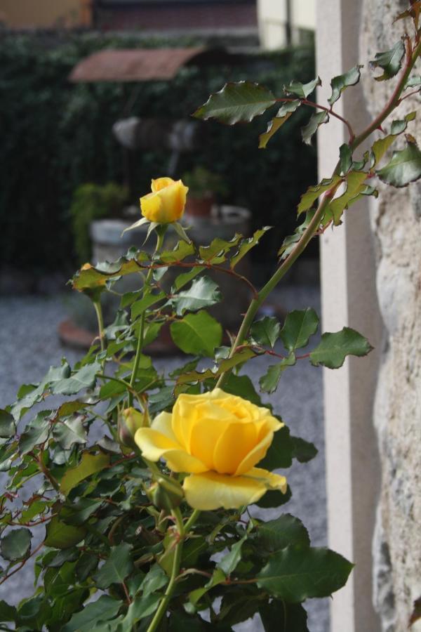 Bed and Breakfast Cascina San Martino Passirano Екстер'єр фото