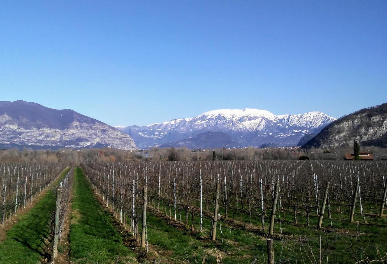 Bed and Breakfast Cascina San Martino Passirano Екстер'єр фото